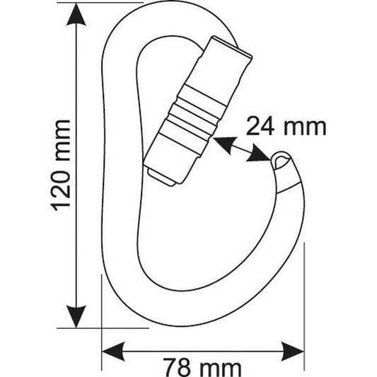 CAMP Atom 3 Lock-Climbing - Hardware - Carabiners-CAMP-Appalachian Outfitters