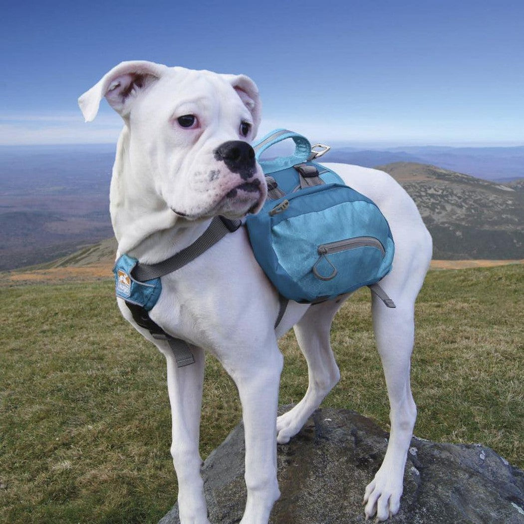 Kurgo Big Baxter Pack Outdoor Dogs Appalachian Outfitters